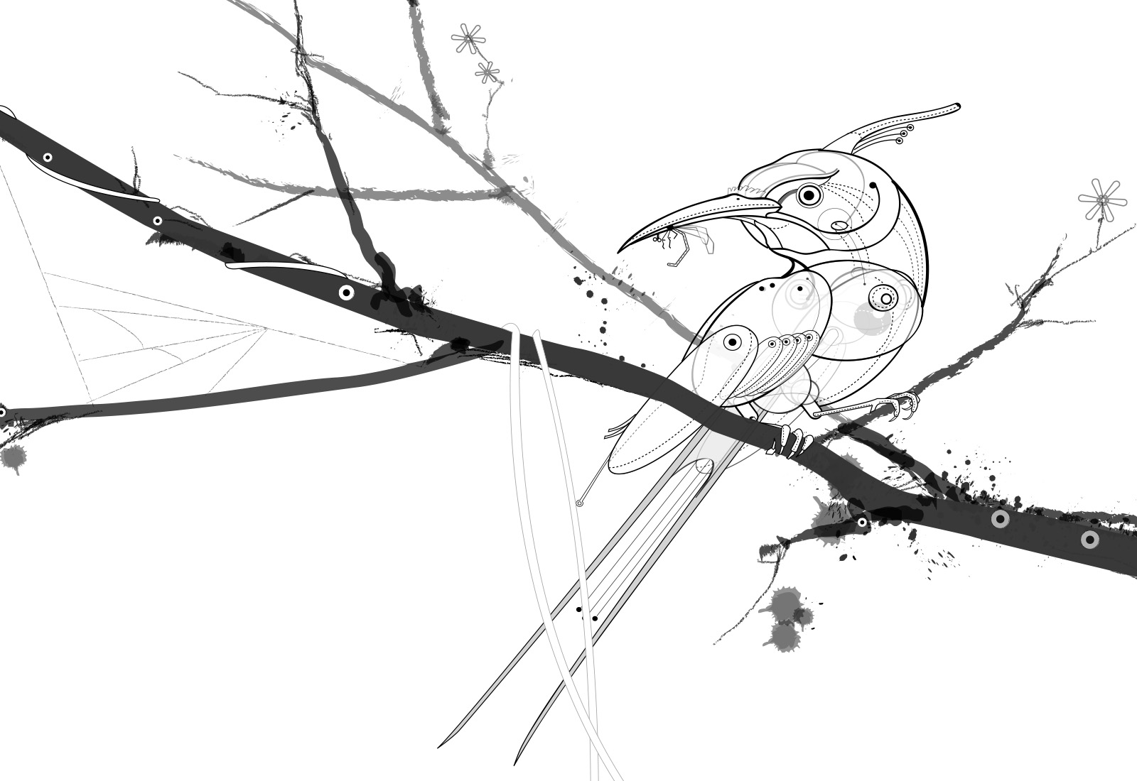 Bird