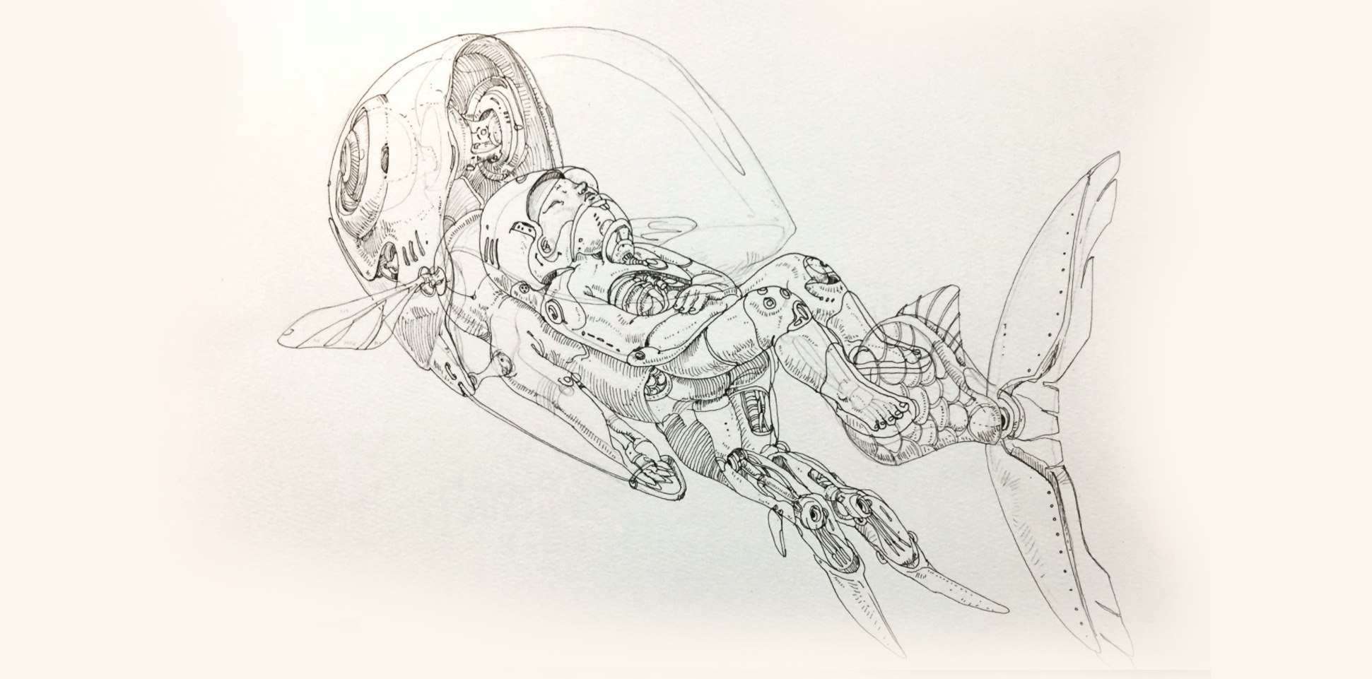 Feric sketch